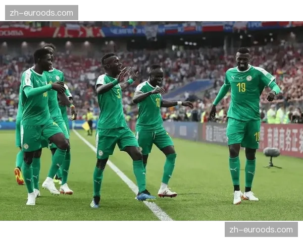 塞内加尔队非洲杯表现优异 世界杯赛场黑马潜力充足